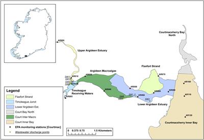 Interannual Improvement in Sea Lettuce Blooms in an Agricultural Catchment